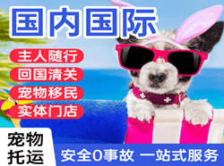 延吉机场托运国际宠物托运 【国